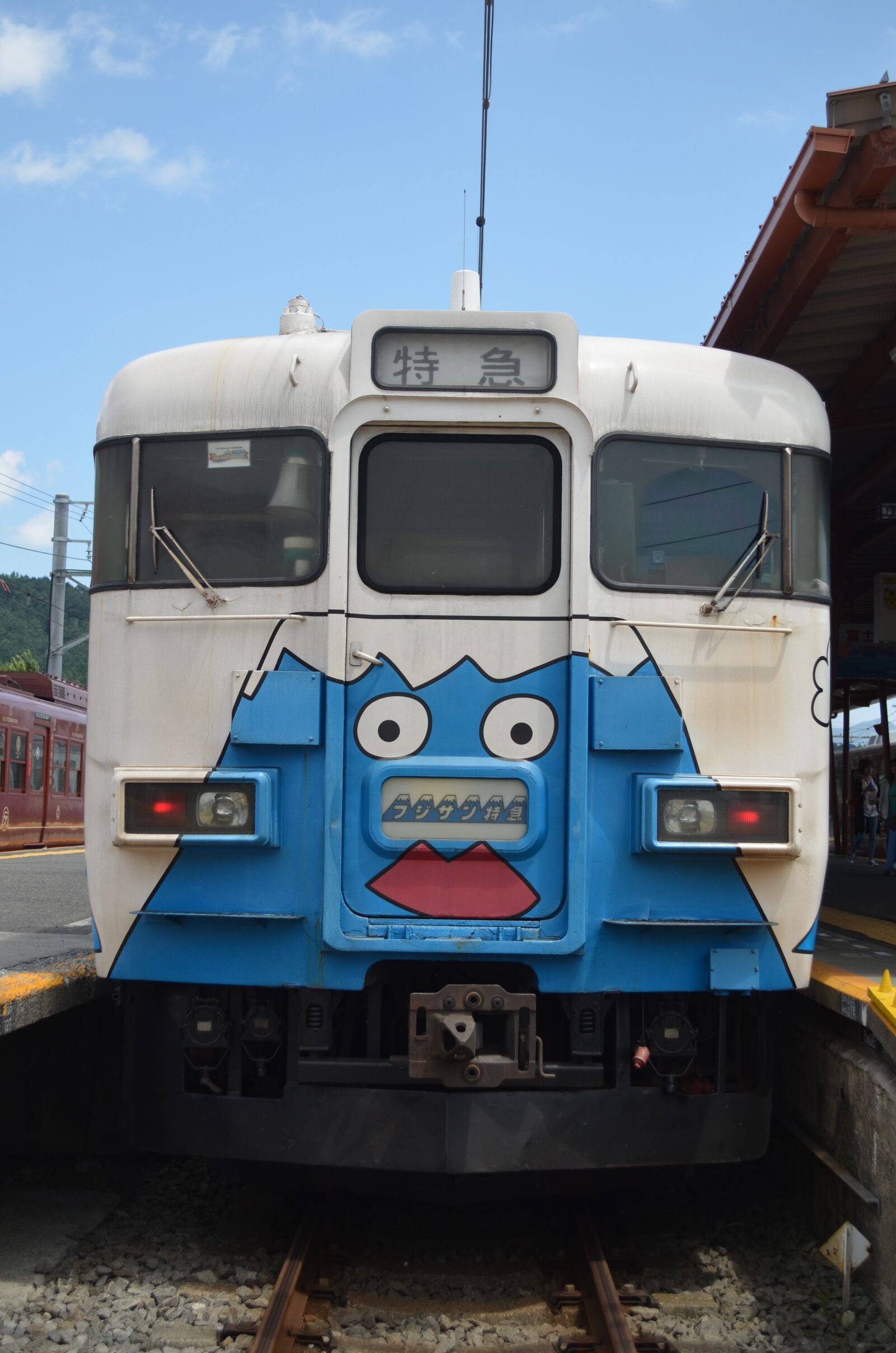 Nikon D5100 sample photo. Fuji train, mount fuji photography
