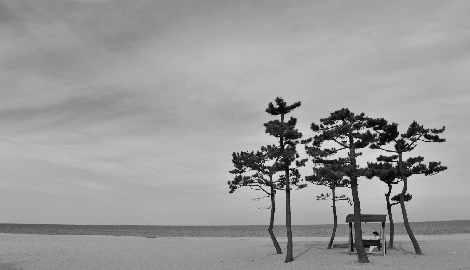 Nikon D700 sample photo. Beach, black and white photography