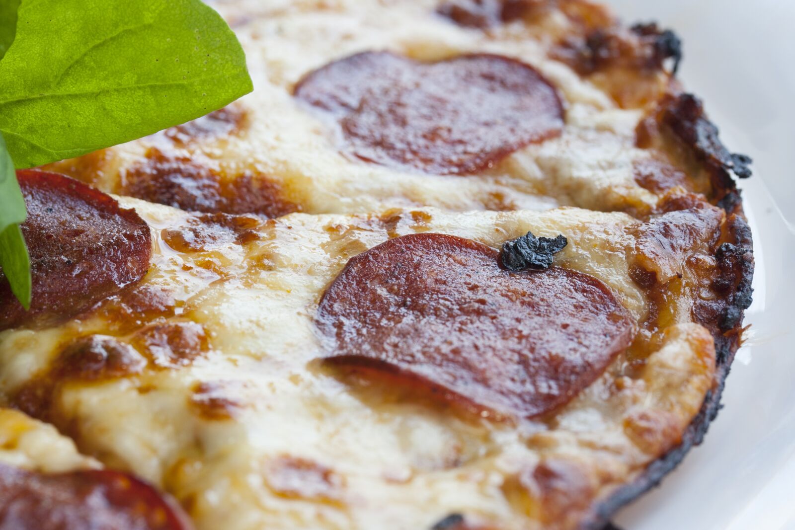 Canon EOS 40D sample photo. Pizza, sausage, meat photography