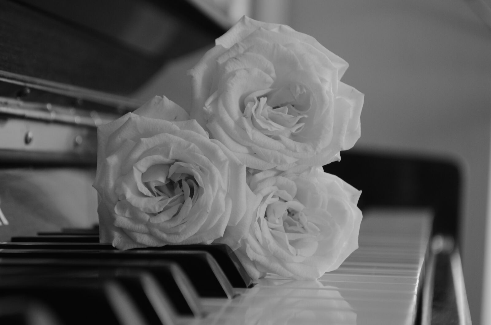 Nikon D5100 sample photo. Roses, piano, music photography