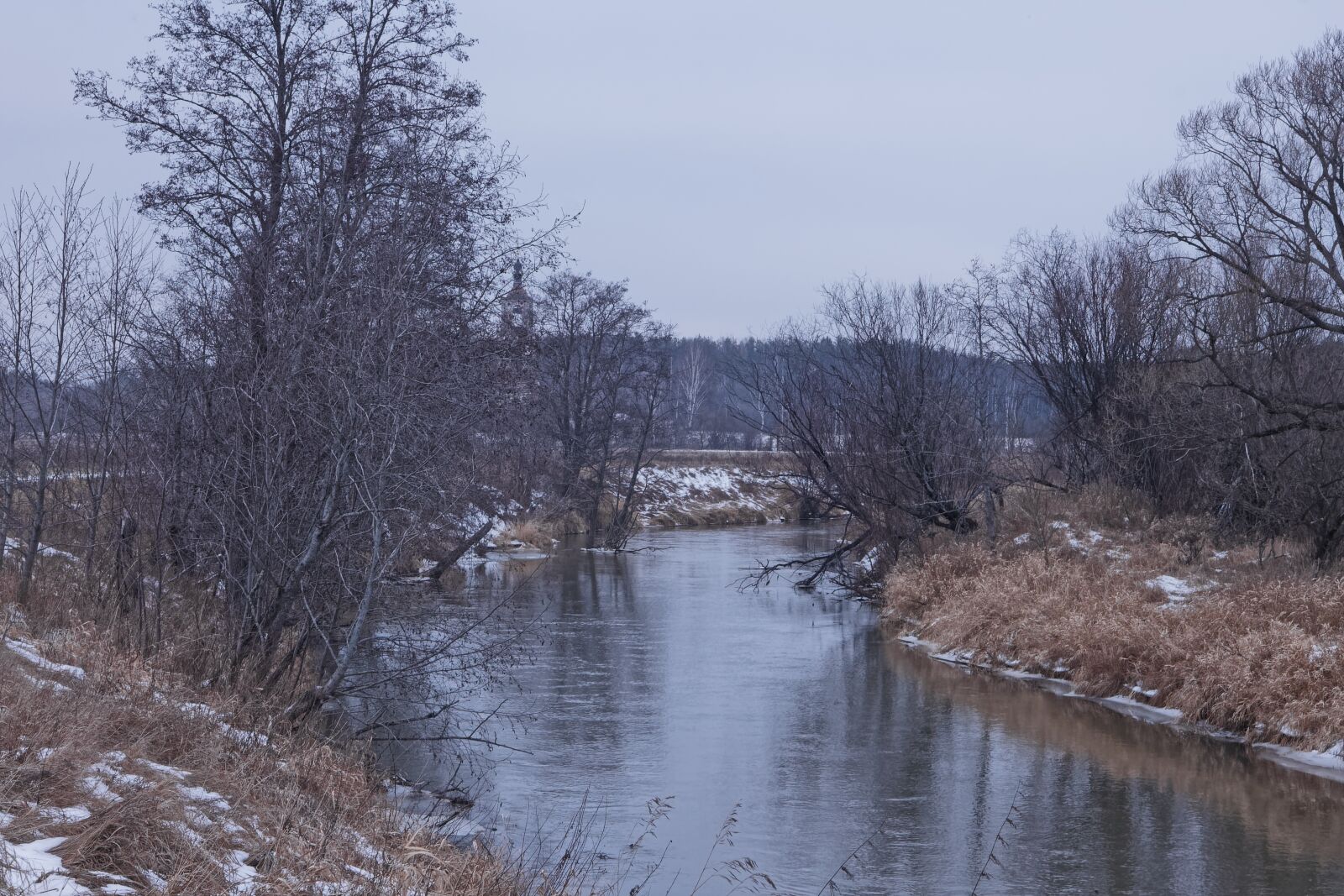 Canon EOS 500D (EOS Rebel T1i / EOS Kiss X3) sample photo. Winter, nature, field photography