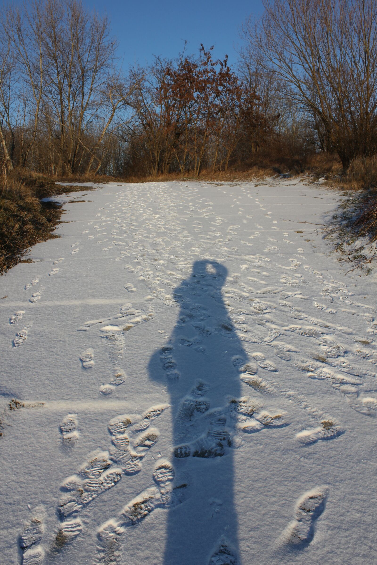 Canon EOS 550D (EOS Rebel T2i / EOS Kiss X4) sample photo. Shadow, silhouette, snow photography