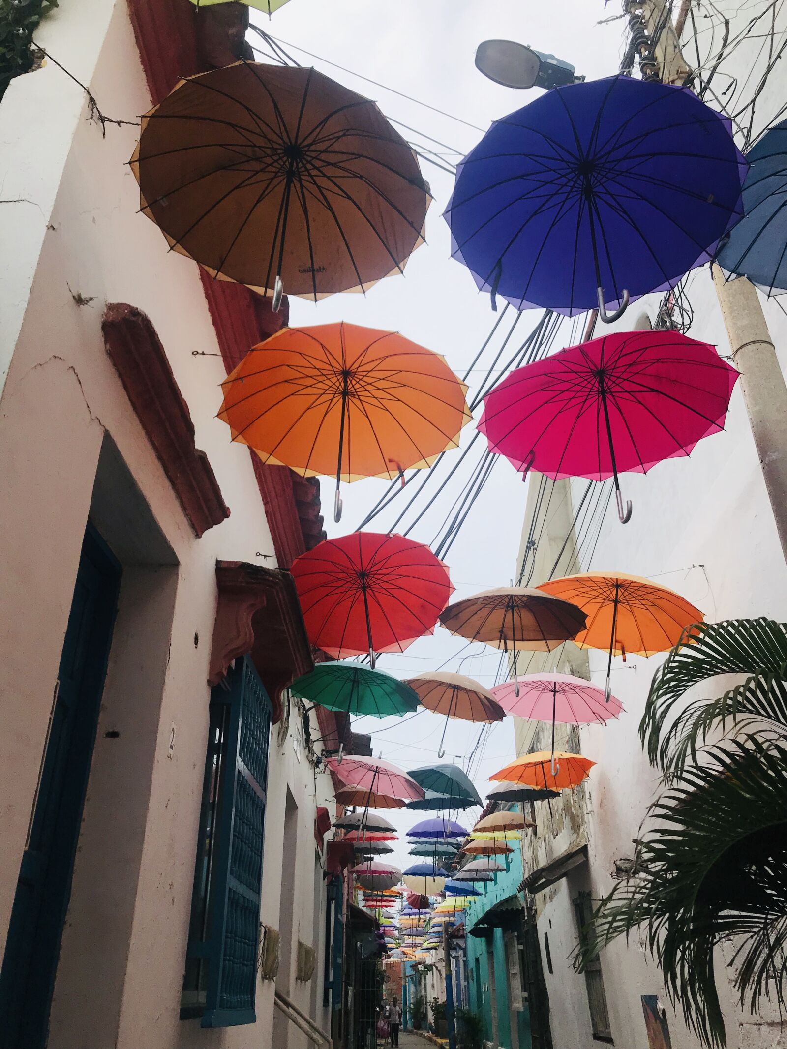 iPhone 7 back camera 3.99mm f/1.8 sample photo. Cartagena, colombia, city photography