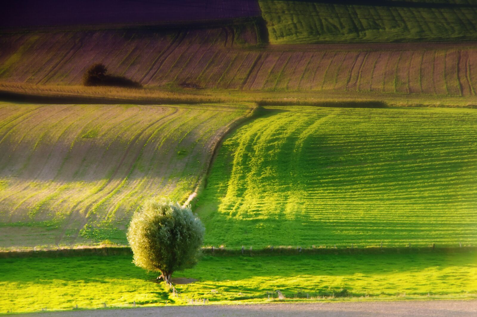 Nikon D300S sample photo. The trough, landscape, autumn photography
