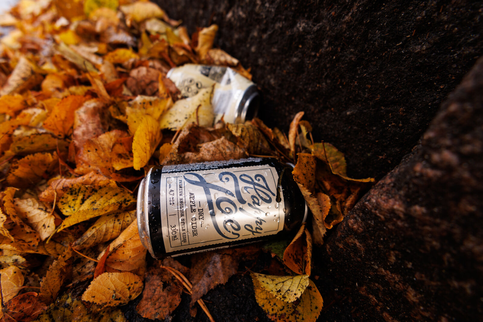 Canon RF 15-30mm F4.5-6.3 IS STM sample photo. Autumn littering photography
