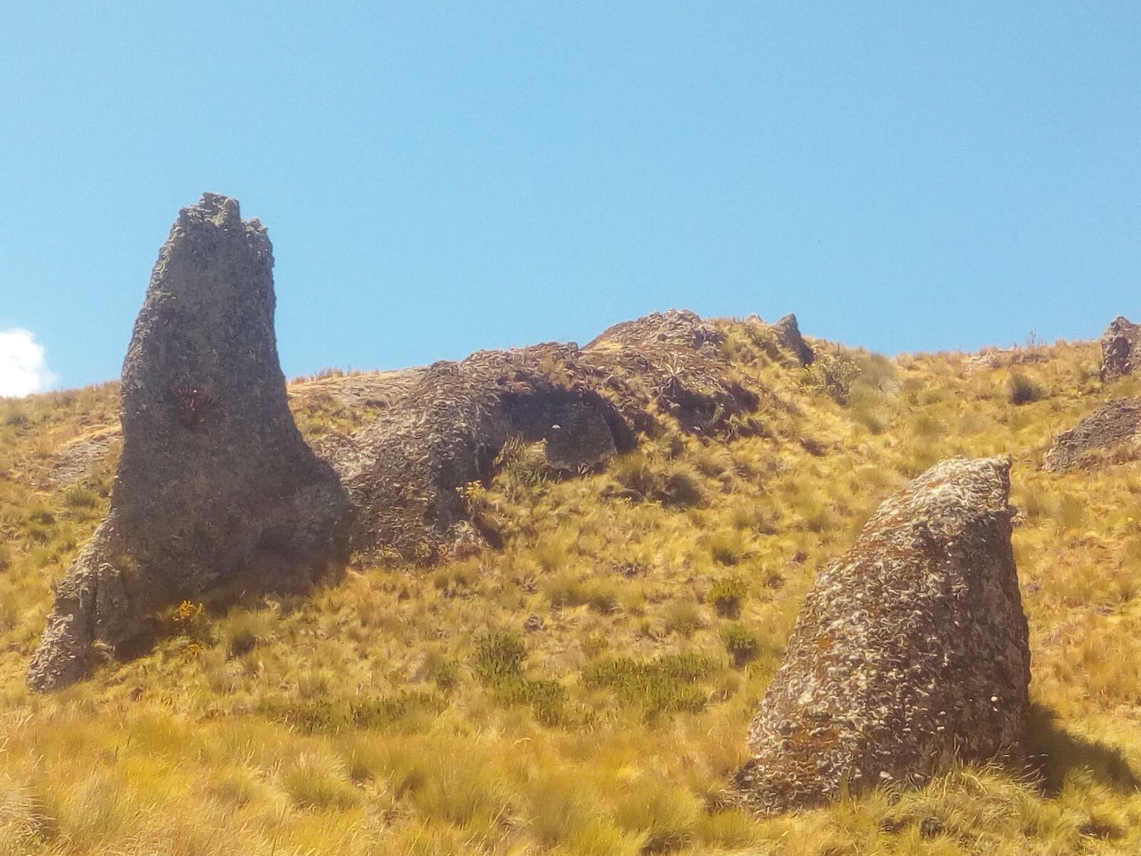 HUAWEI Y6 a! Compact sample photo. Cumbemayo, cajamarca, peru photography