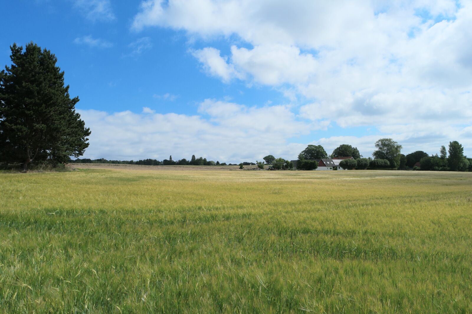 Samsung NX500 + Samsung NX 16-50mm F3.5-5.6 Power Zoom ED OIS sample photo. Summer, mark, agriculture photography
