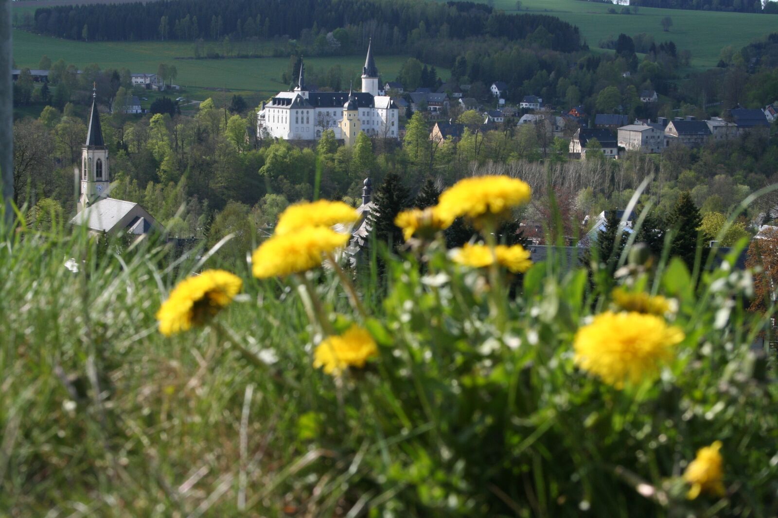Canon EOS 350D (EOS Digital Rebel XT / EOS Kiss Digital N) sample photo. Neuhausen, ore mountains, castle photography