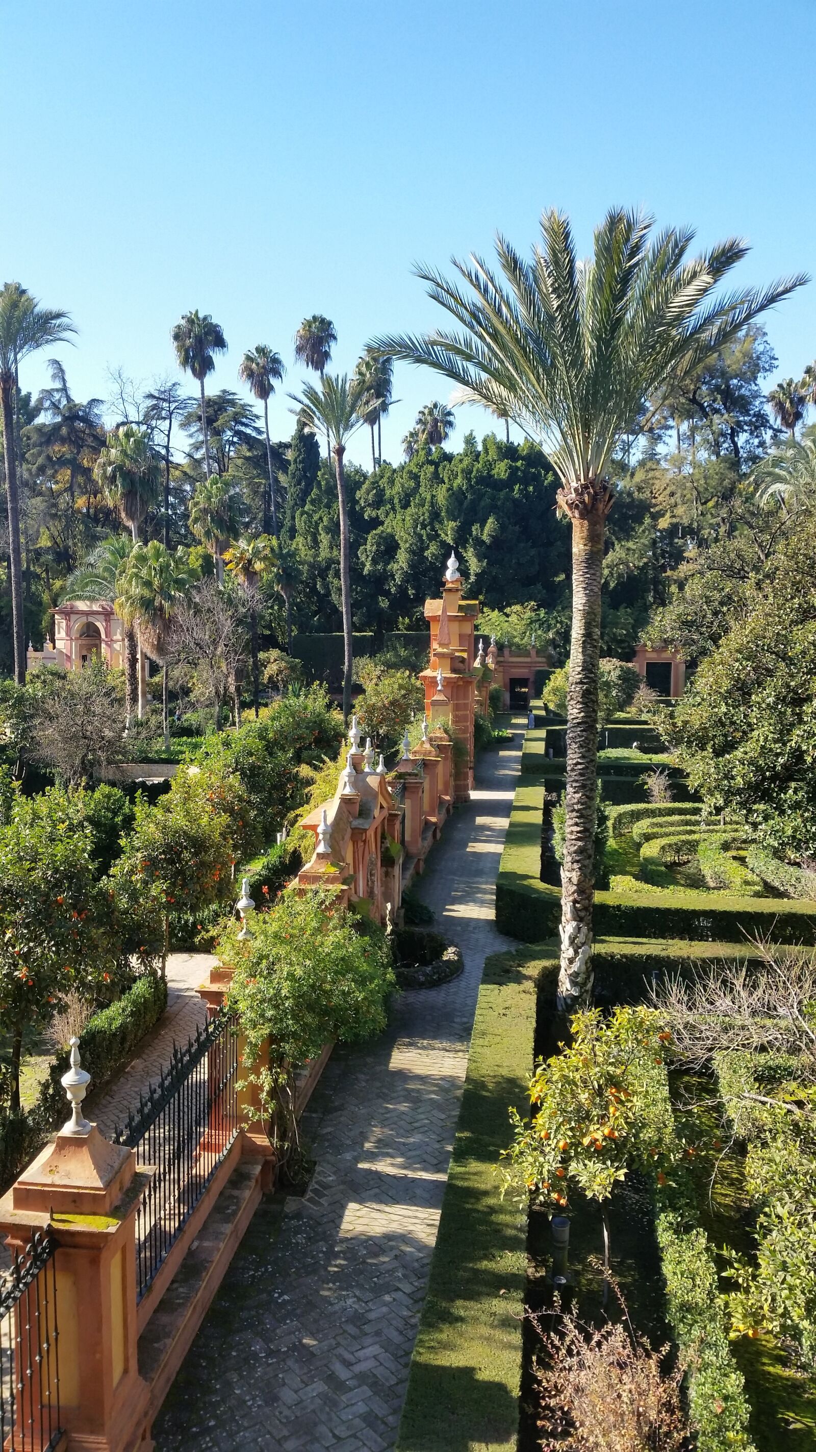 Samsung Galaxy S5 sample photo. Alcazar, seville, spain photography