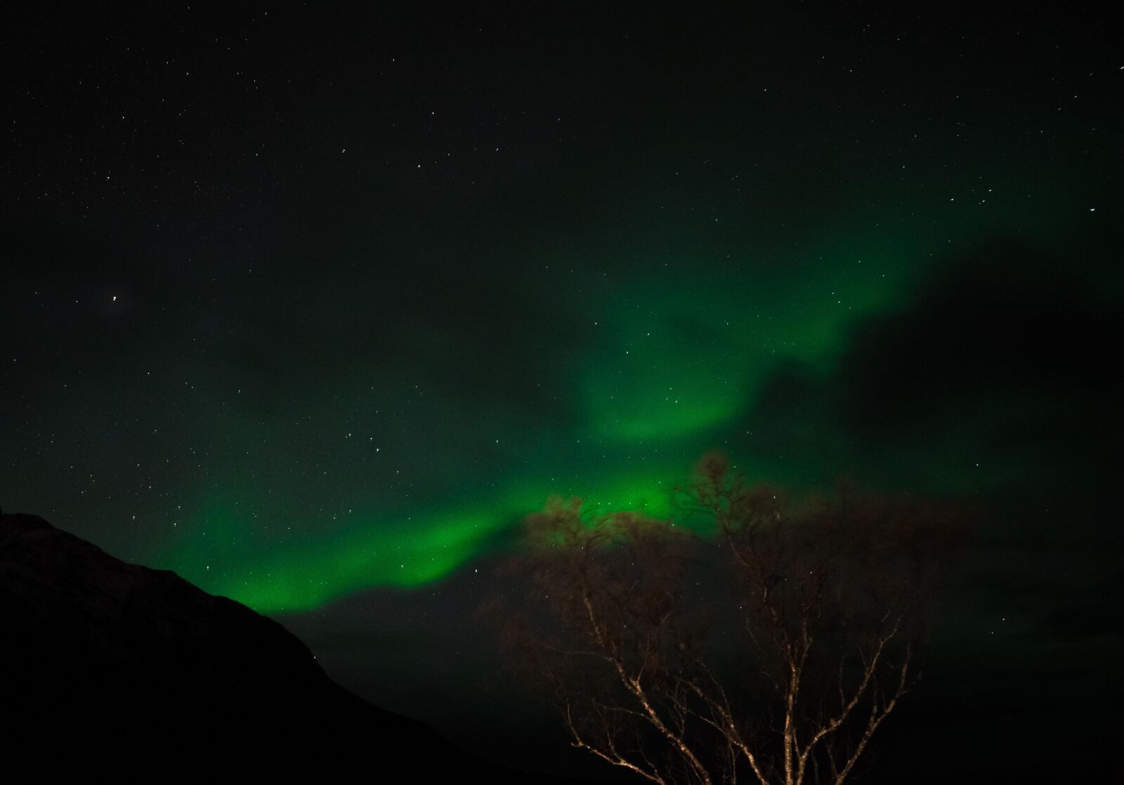 Nikon D5300 sample photo. Northern lights, sky, three photography