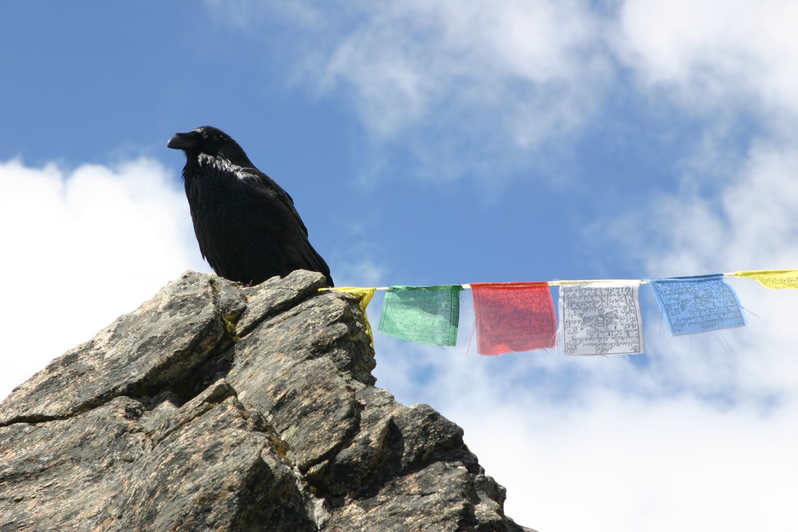 Canon EOS 300D (EOS Digital Rebel / EOS Kiss Digital) sample photo. Raven, nepal, mountain photography