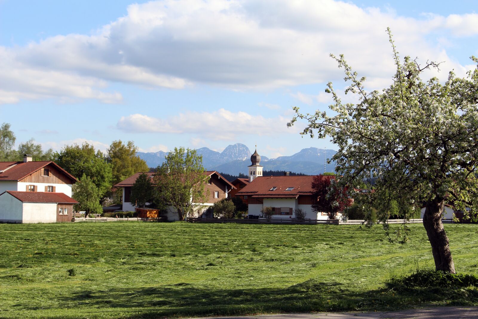 Canon EOS 700D (EOS Rebel T5i / EOS Kiss X7i) sample photo. Tree, house, farm photography