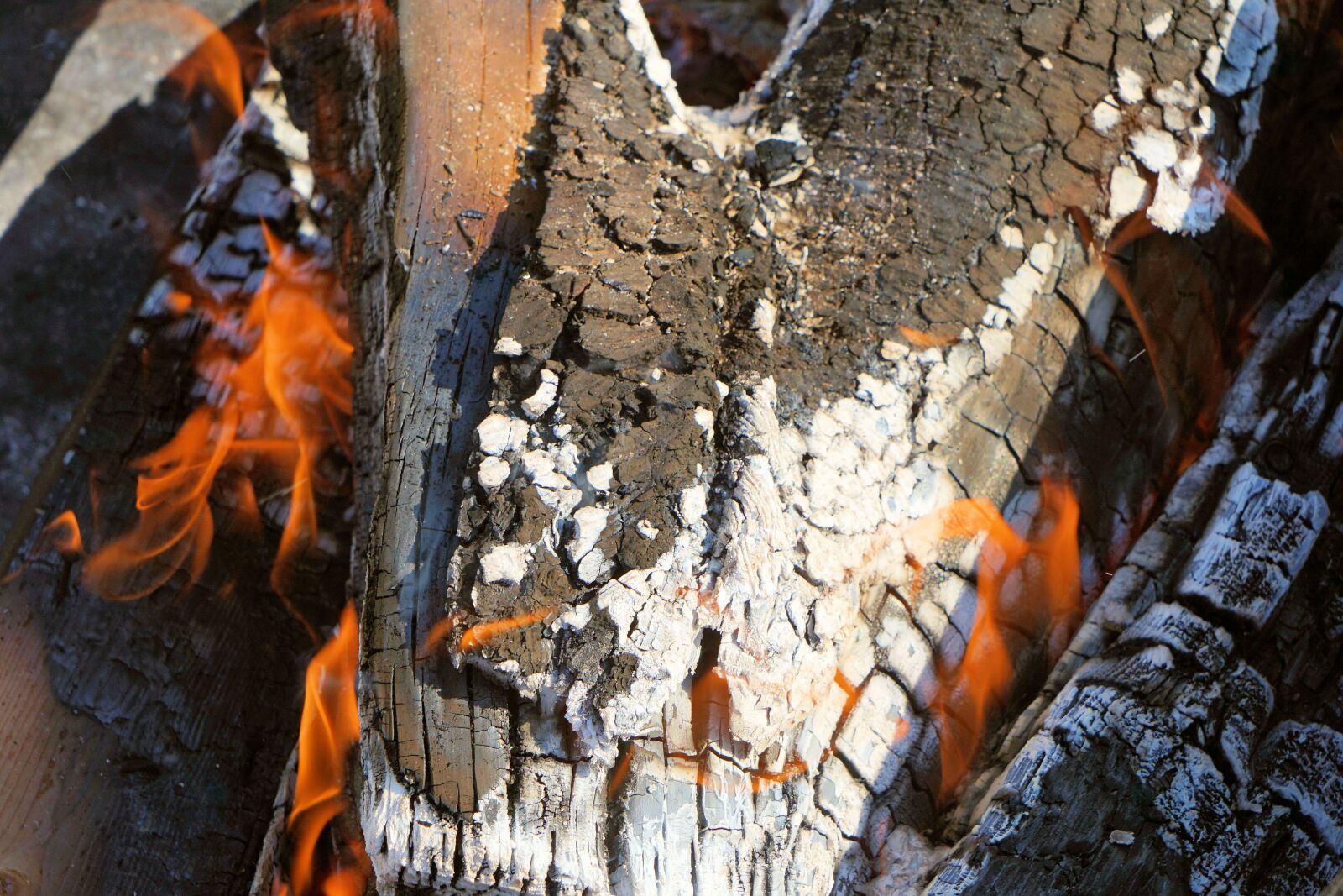 Sony a7 II + Sony Vario Tessar T* FE 24-70mm F4 ZA OSS sample photo. Fire, wood, campfire photography