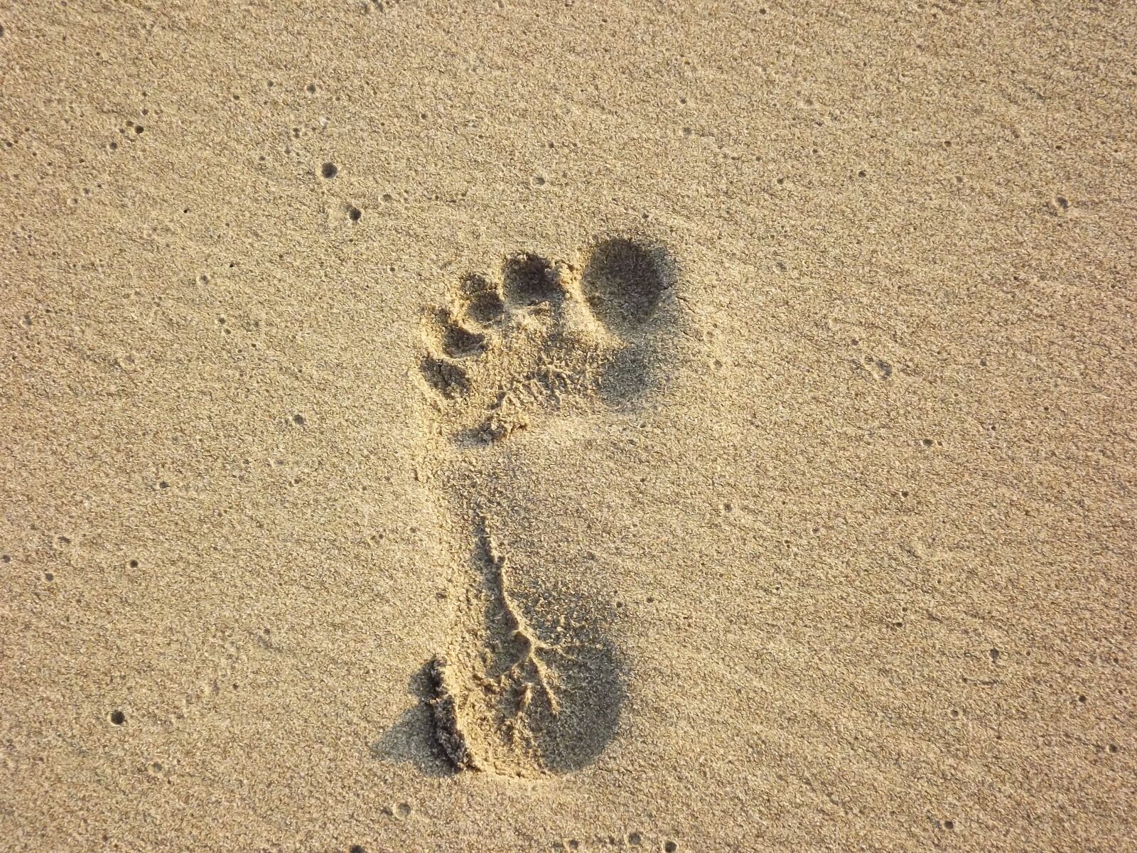 FujiFilm FinePix S4000 (FinePix S4050) sample photo. Beach, foot print, sand photography