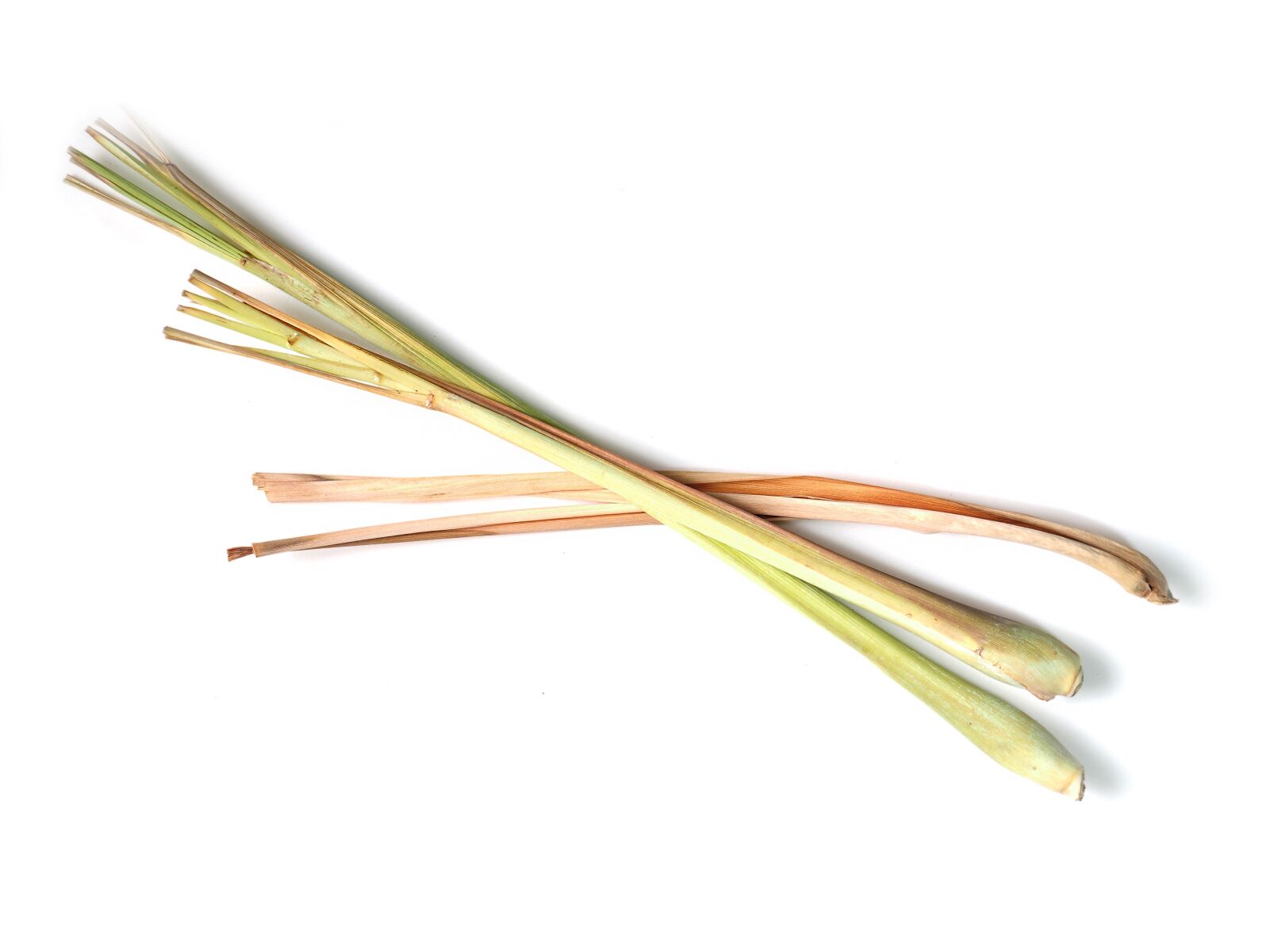 Olympus OM-D E-M1 + Olympus M.Zuiko Digital ED 12-40mm F2.8 Pro sample photo. Lemongrass, culinary herbs, plant photography