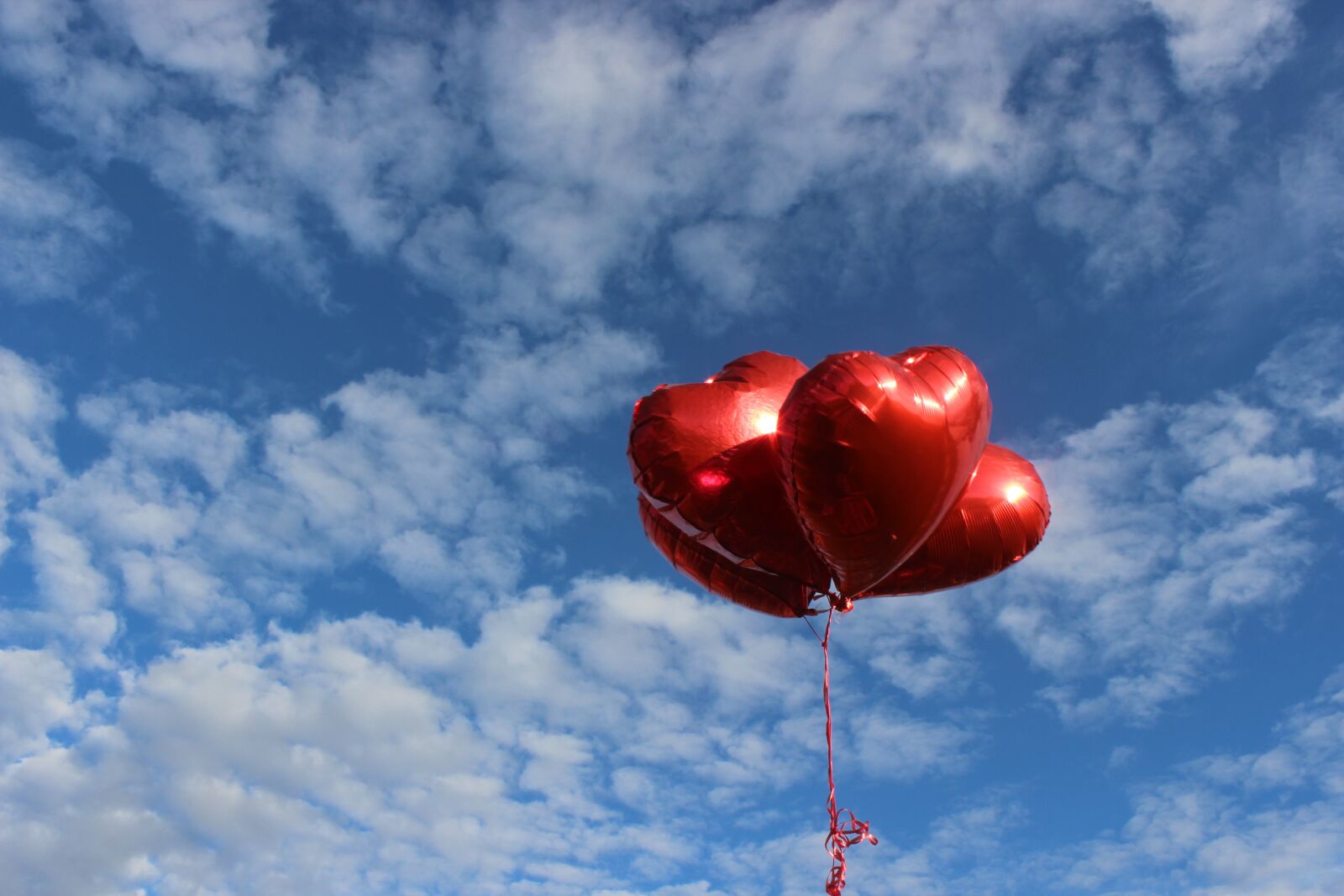 Canon EOS 600D (Rebel EOS T3i / EOS Kiss X5) sample photo. Sky, outdoors, heart photography