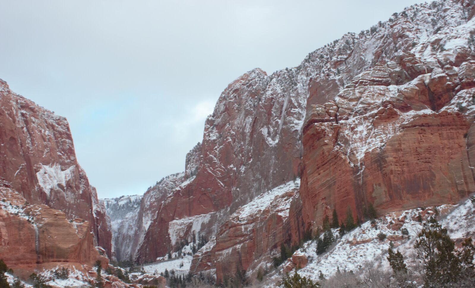 Canon EOS 600D (Rebel EOS T3i / EOS Kiss X5) sample photo. Kolob canyon, red cliffs photography