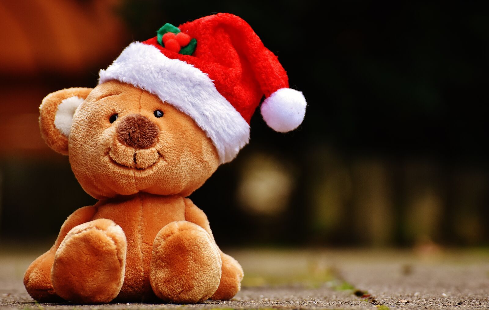 Nikon D7200 sample photo. Christmas, teddy, soft toy photography