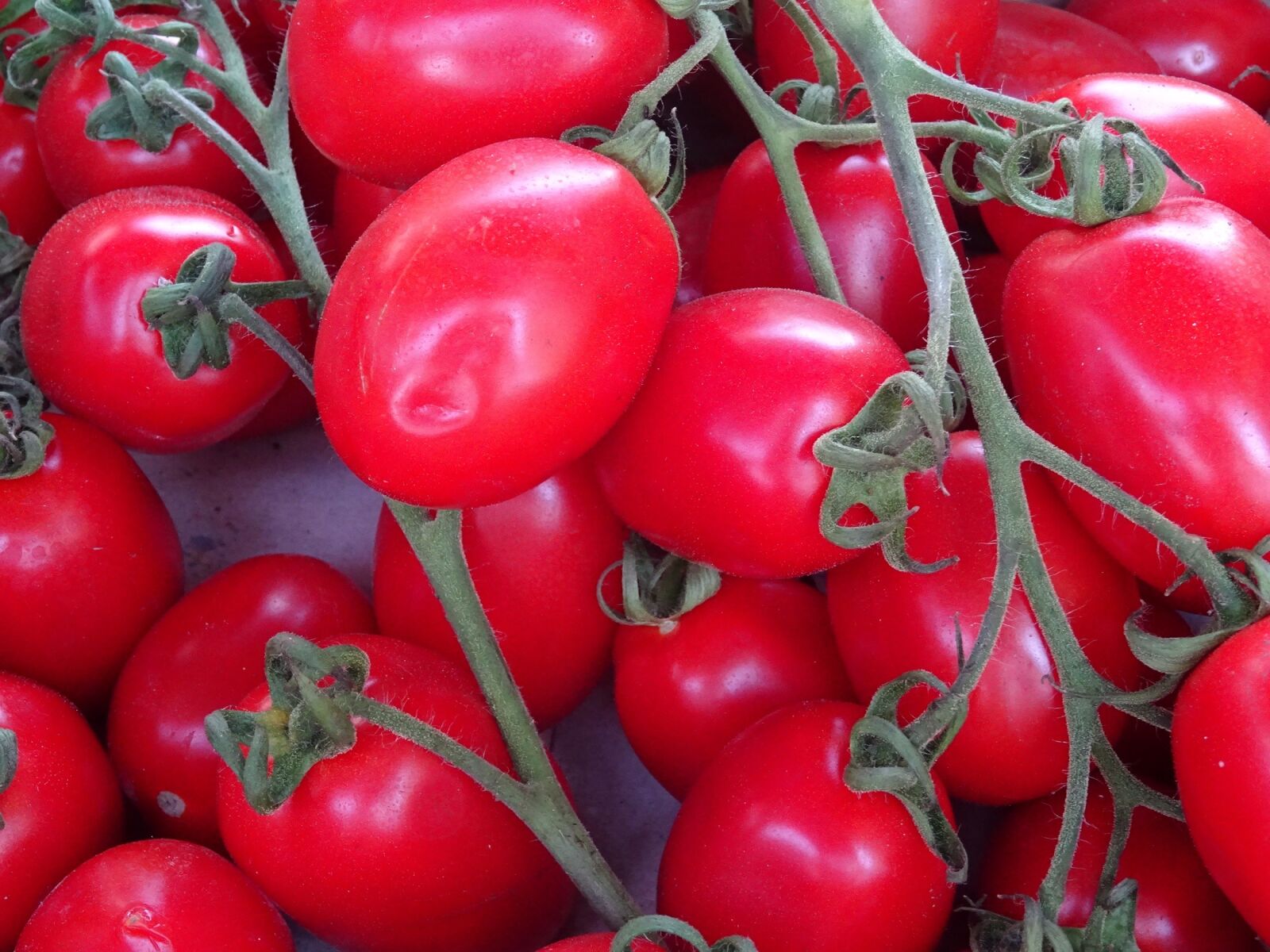 Sony DSC-HX60 sample photo. Tomatoes, fresh, plum photography