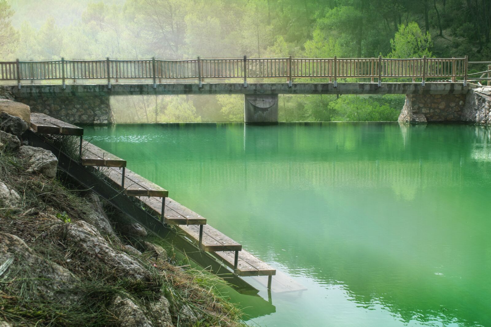 Nikon D3300 sample photo. Pond, ladder, lake photography