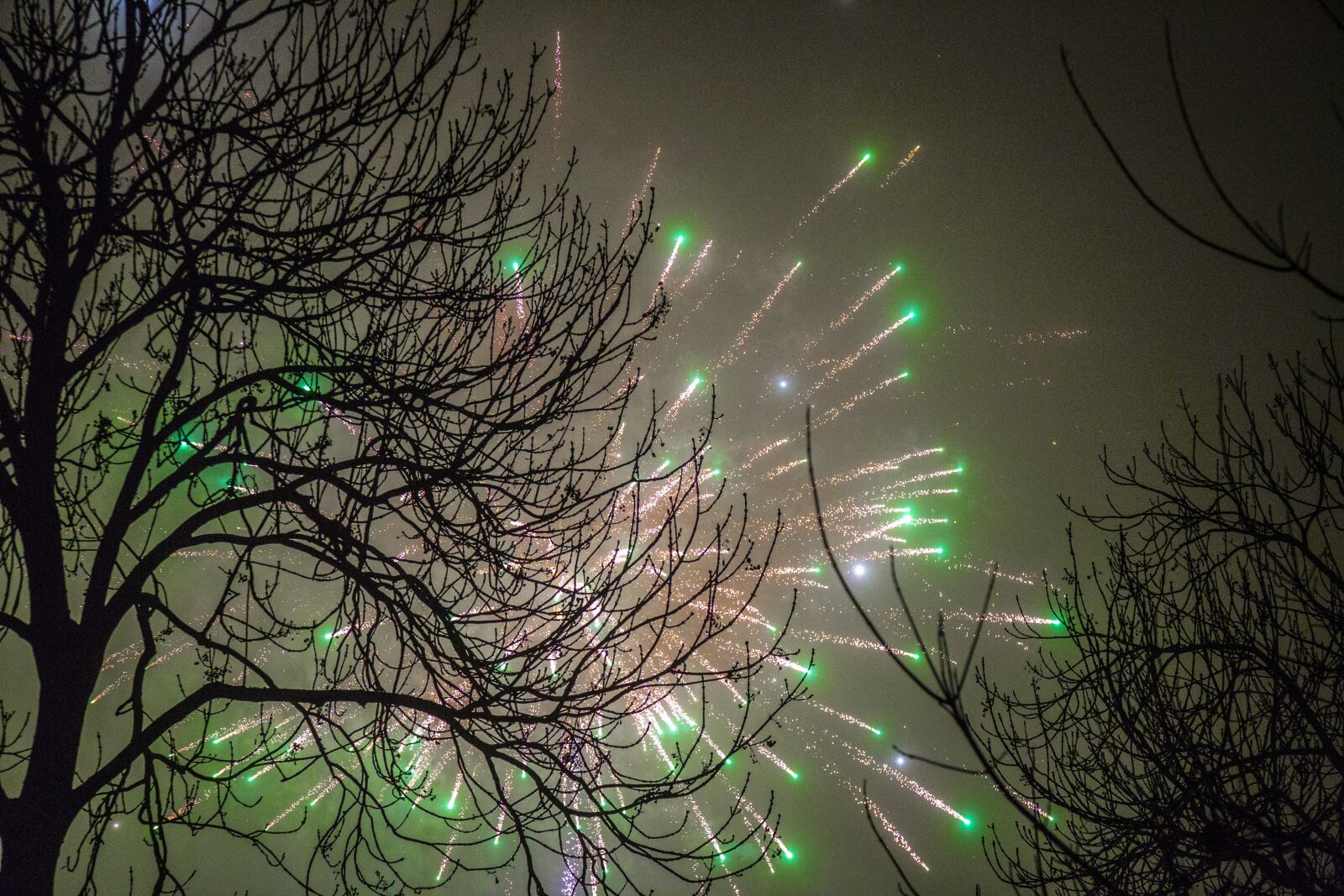 Canon EOS 6D + Canon EF 24-105mm F4L IS USM sample photo. Fireworks, green, new year photography