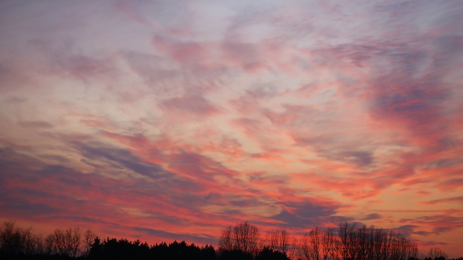 Sony Alpha DSLR-A330 sample photo. Sunset, nature, panoramic photography