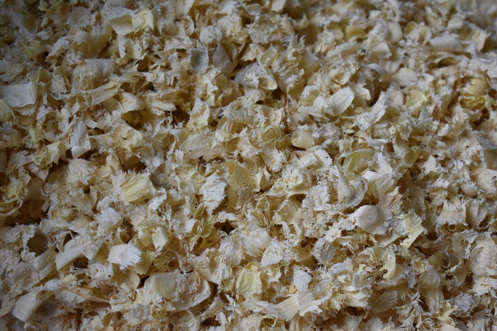 Nikon D3400 sample photo. Texture, sawdust, chips photography