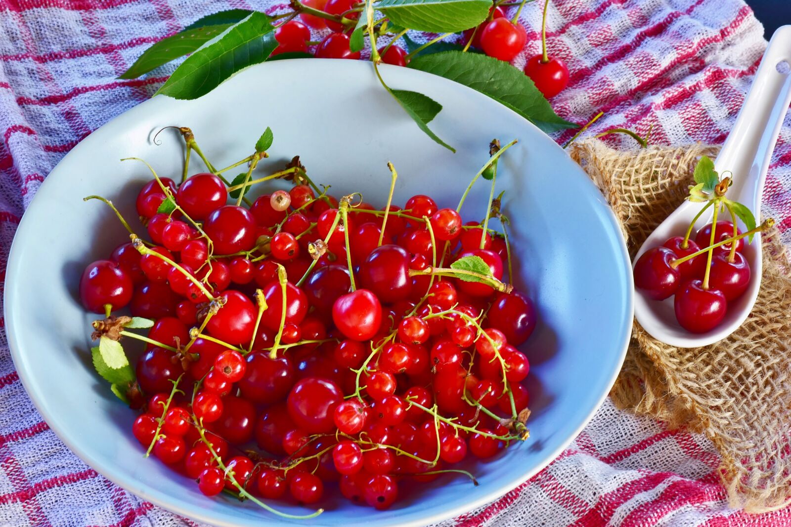Nikon D7200 sample photo. Sour cherries, cherries, currants photography