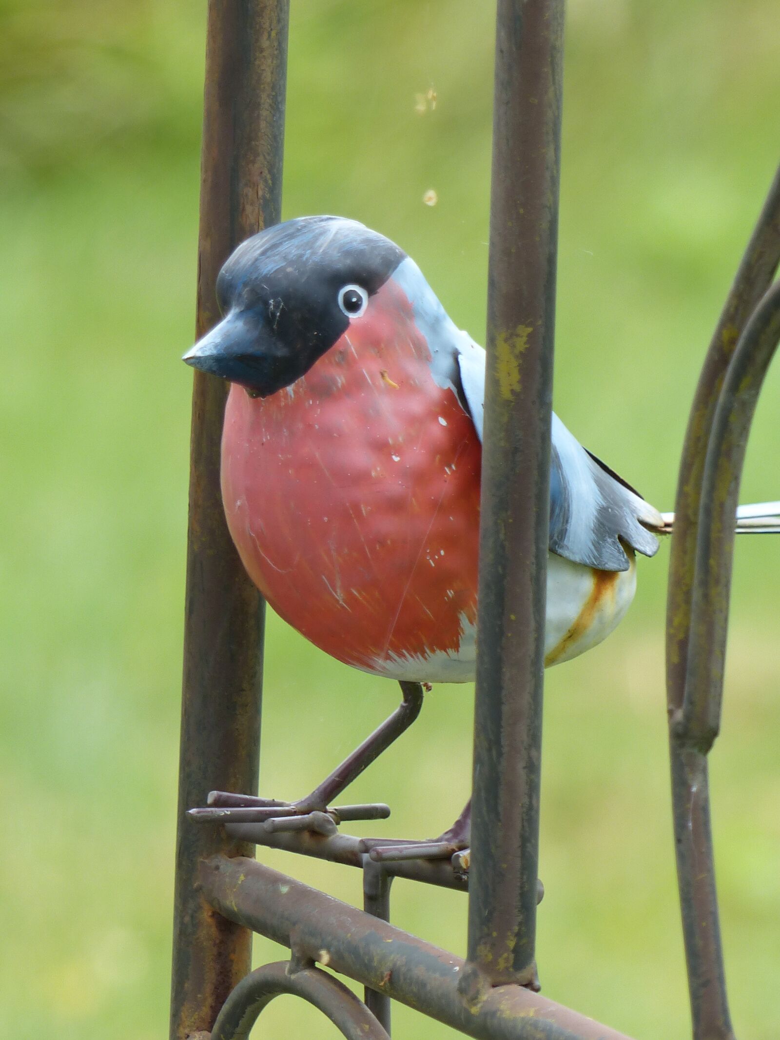 Panasonic Lumix DMC-FZ200 sample photo. Bird, sheet metal, wrought photography