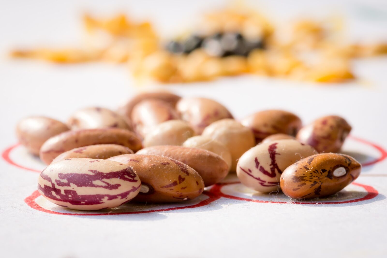 Nikon D7200 sample photo. Kidney beans, bean, pulses photography