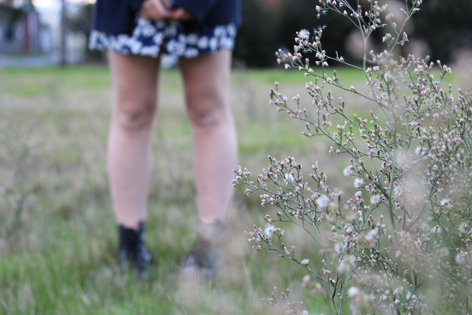 Canon EF-S 55-250mm F4-5.6 IS II sample photo. Blurred, day, dress, field photography