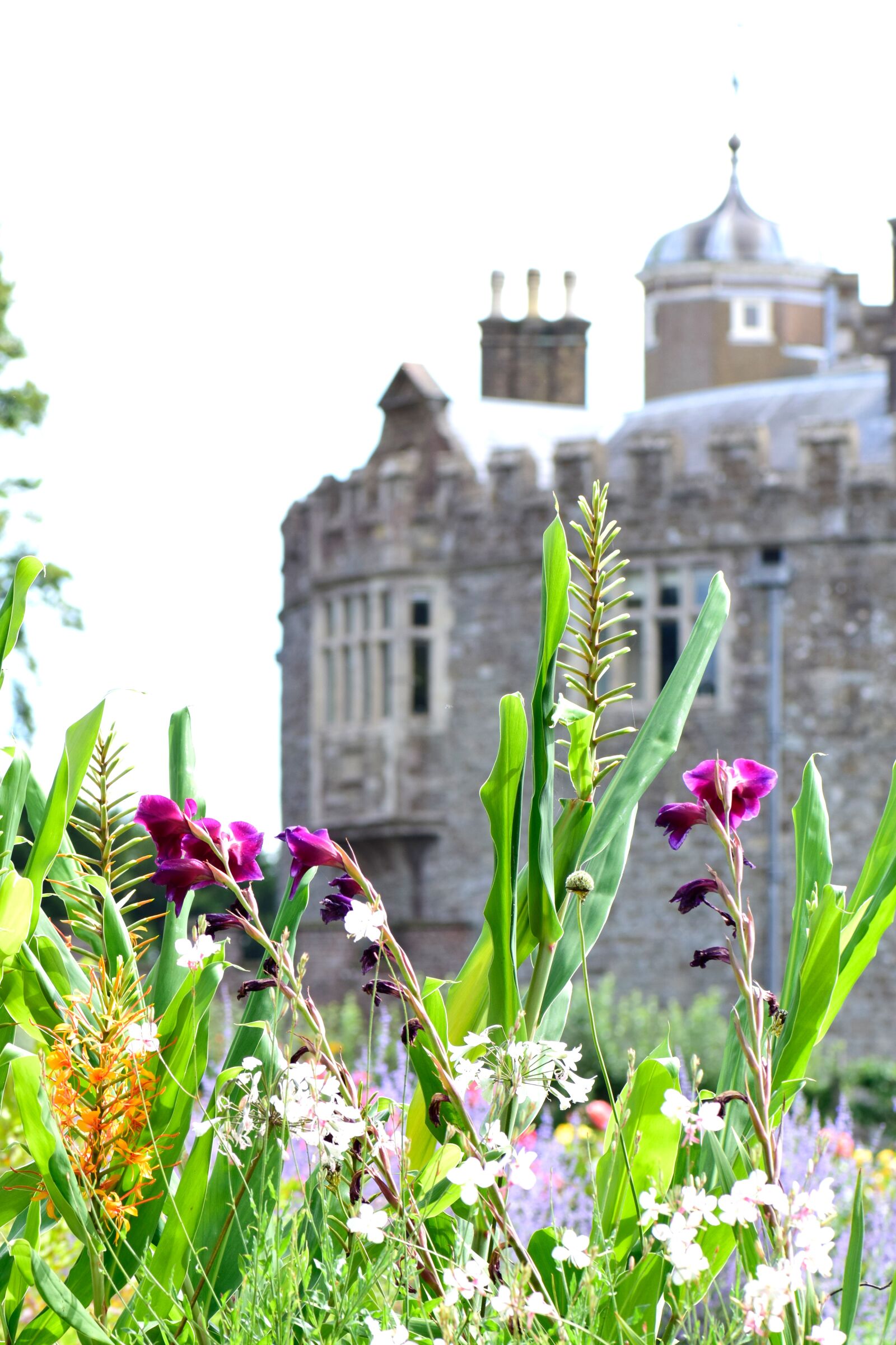 Nikon D5300 sample photo. Garden, castle, flowers photography