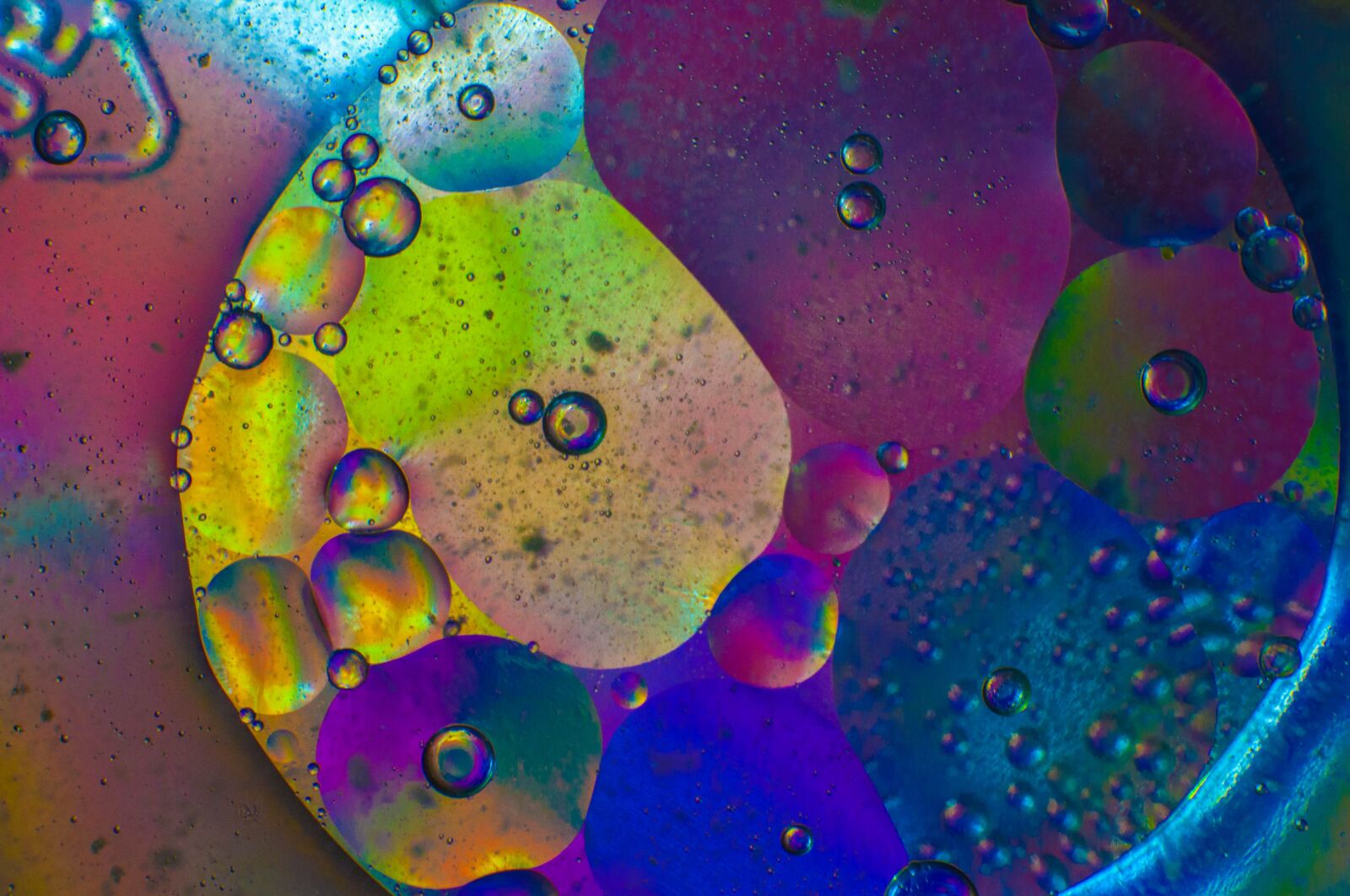 Nikon D90 sample photo. Macro, wheels, colors photography