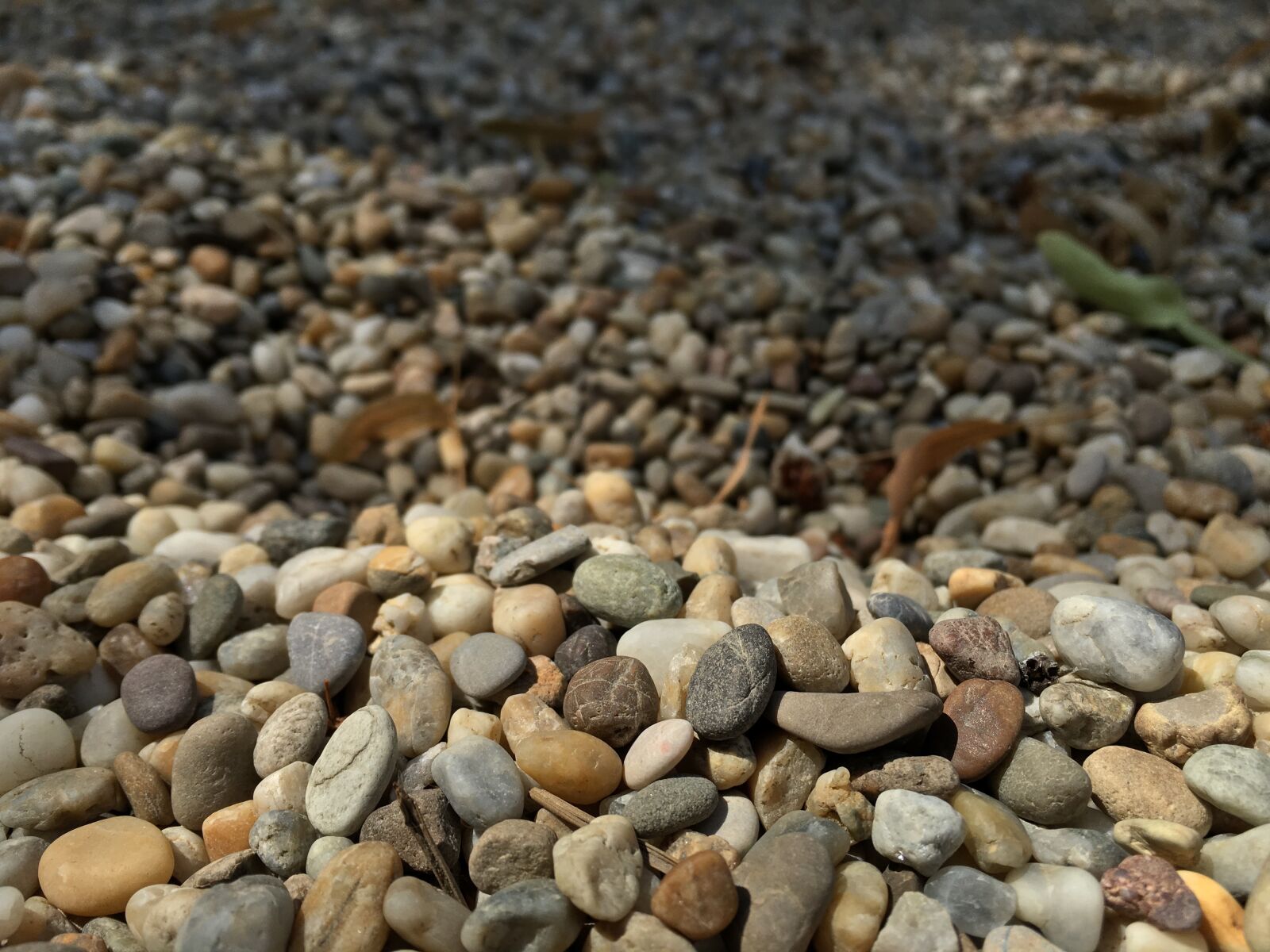 Apple iPhone 6s sample photo. Small, rock photography