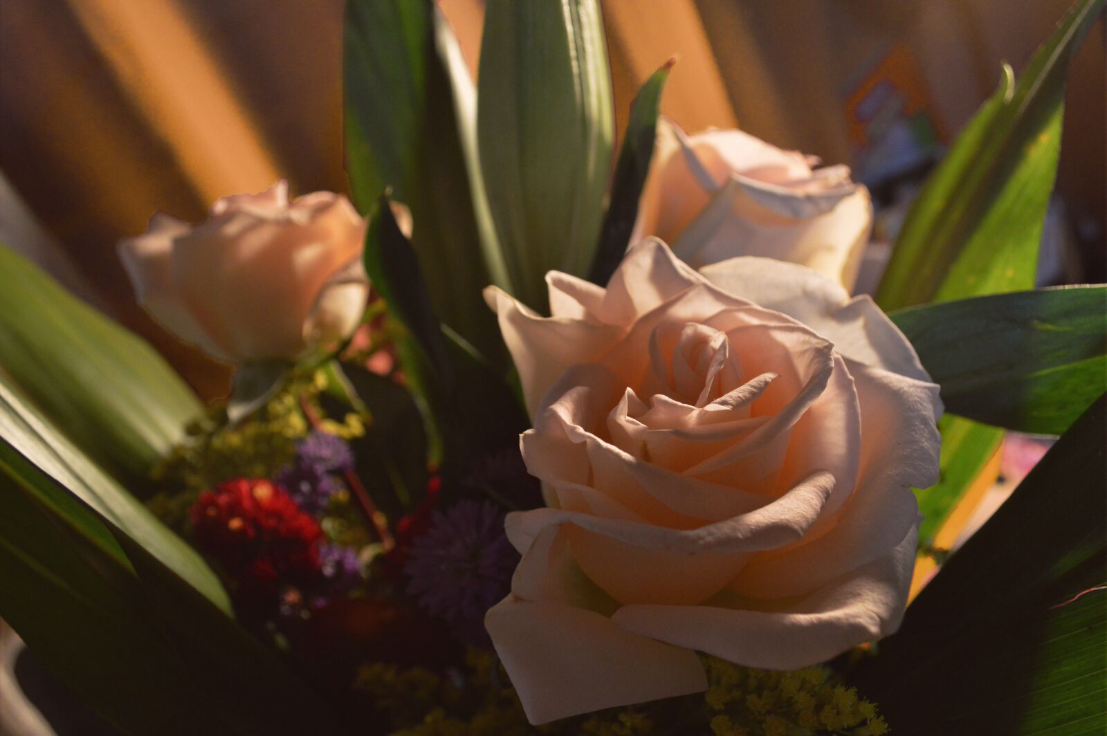 Nikon D3200 sample photo. Roses, flowers, bouquet photography