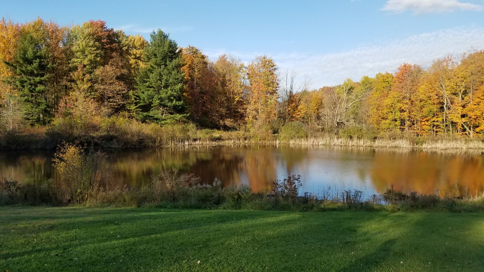 Samsung Galaxy S7 sample photo. Pond, fall, leaves photography