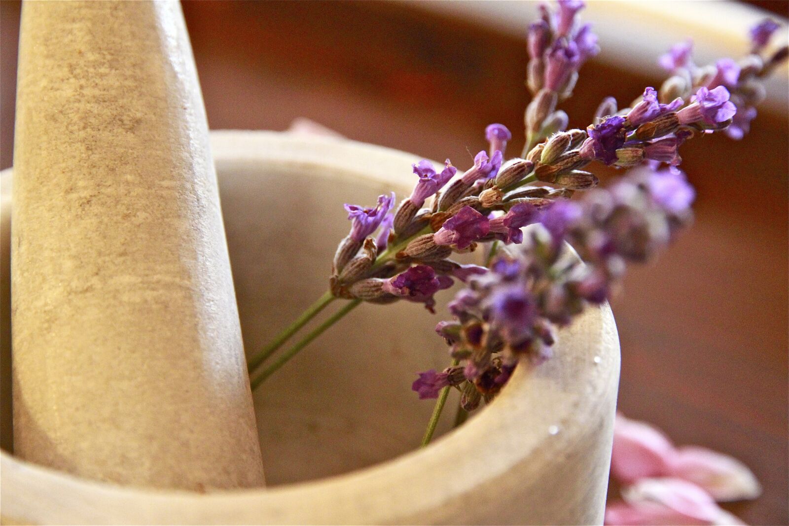 Canon EOS 7D sample photo. Herbal tea, pesto, violet photography