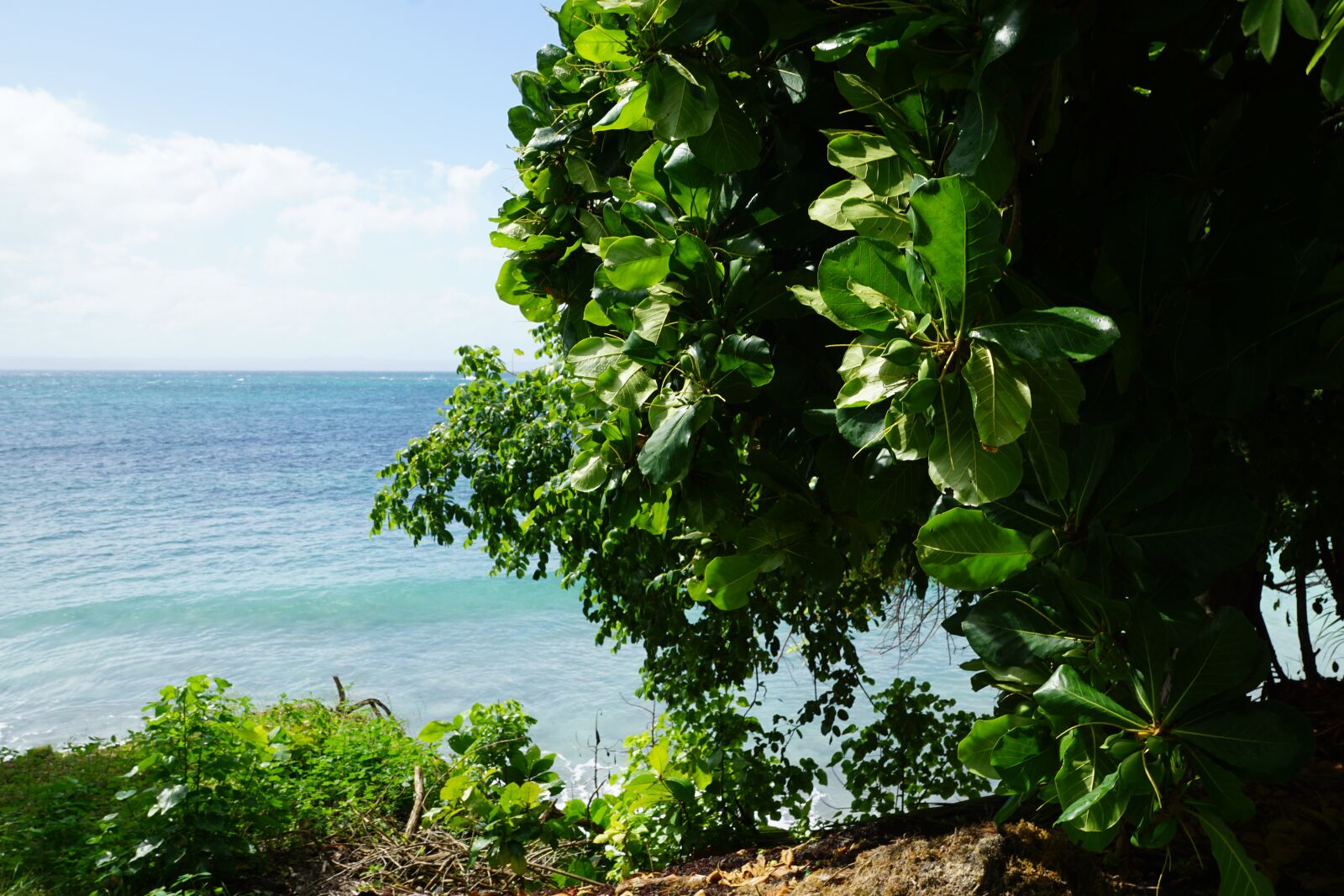 Sony DT 16-50mm F2.8 SSM sample photo. Caribbean, island, sea photography