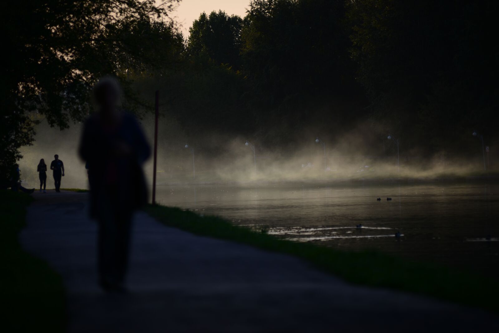 Nikon D800 sample photo. Autumn, fog, gloomy photography