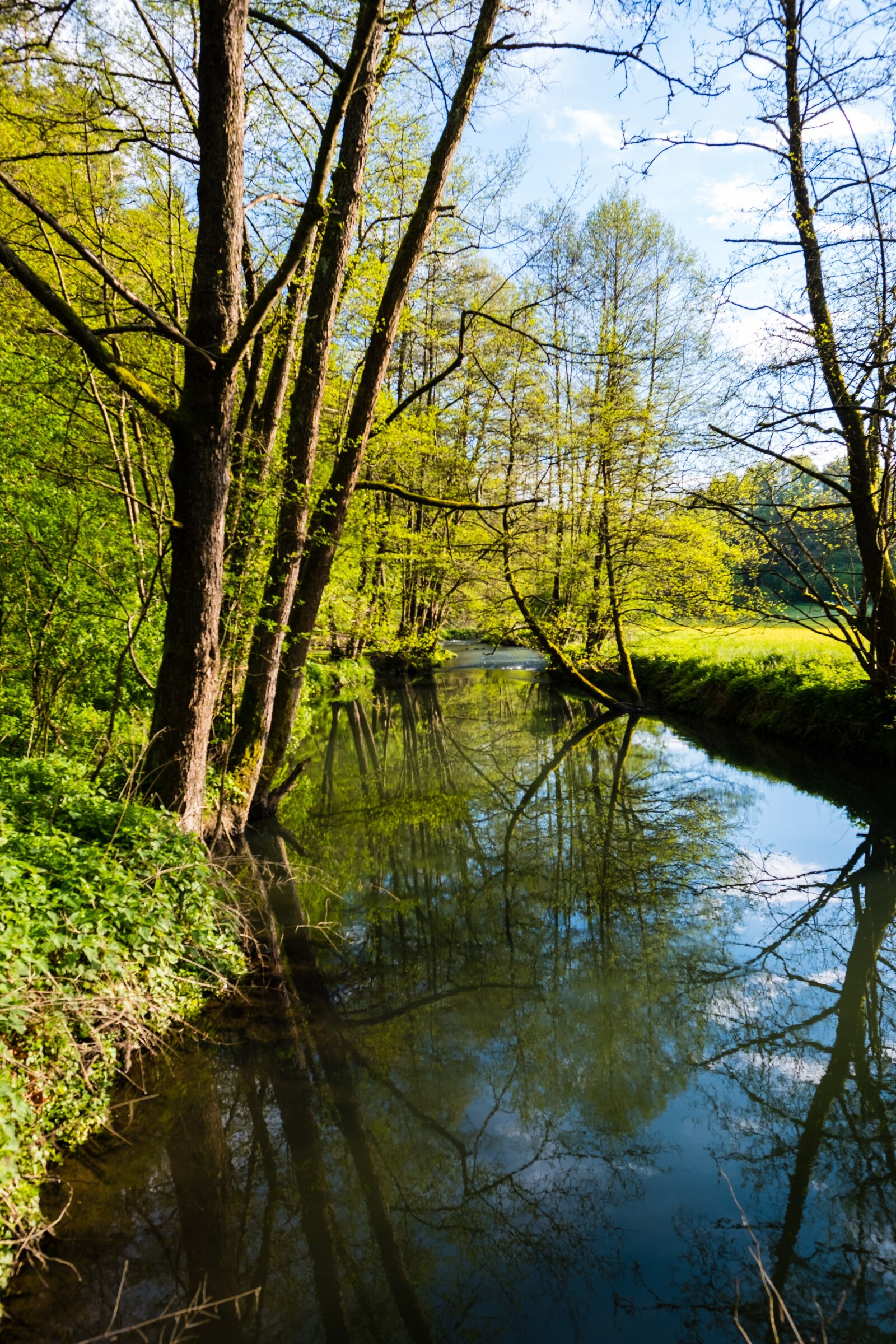 Fujifilm X-T2 + Fujifilm XF 16mm F1.4 R WR sample photo. Nature, wood, tree photography