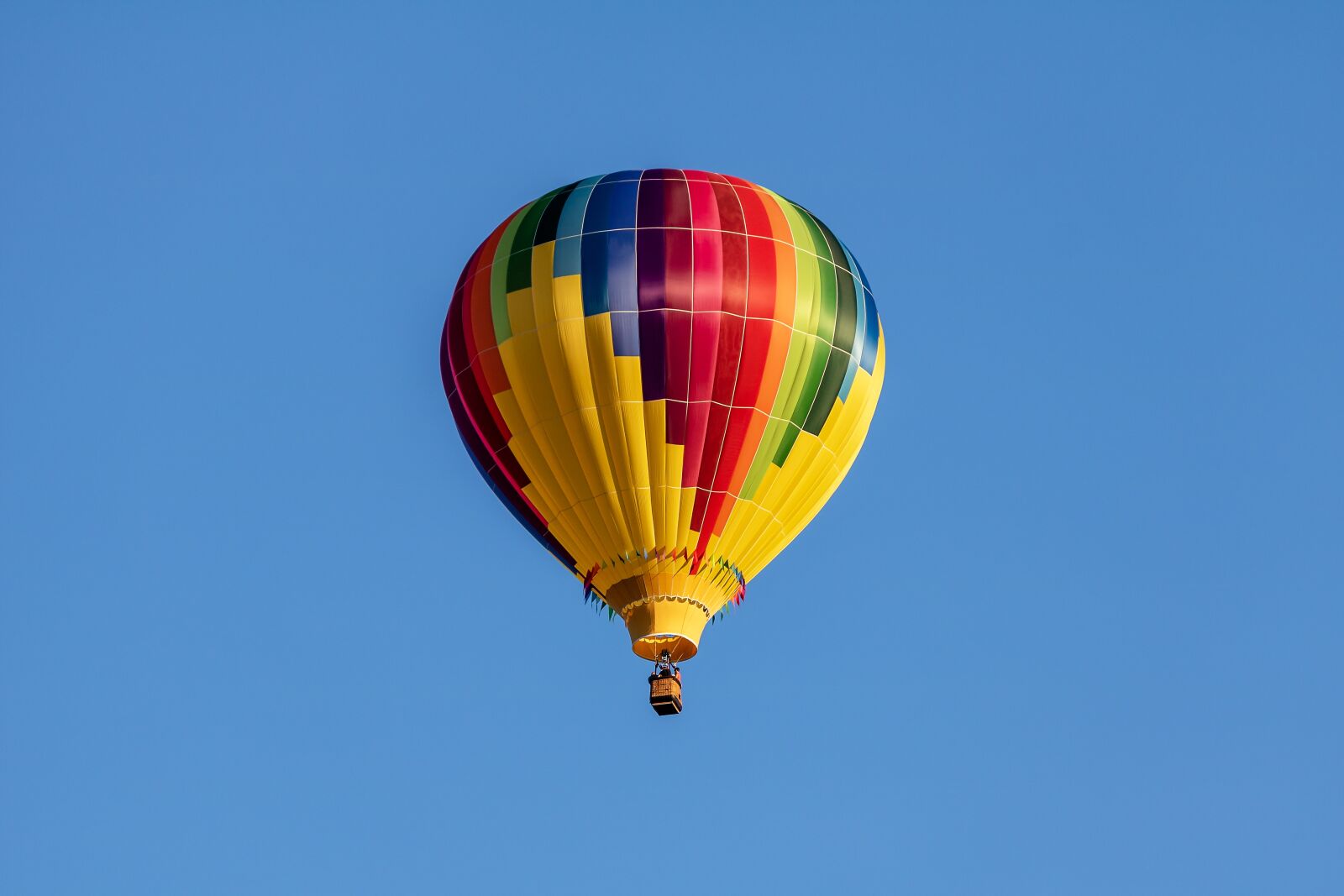 150-600mm F5-6.3 DG OS HSM | Contemporary 015 sample photo. Hot air balloon, balloon photography