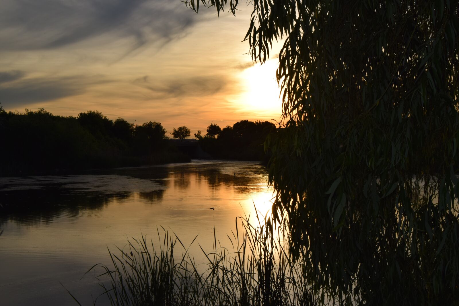 Nikon D3300 sample photo. Lake, sunset, natural photography