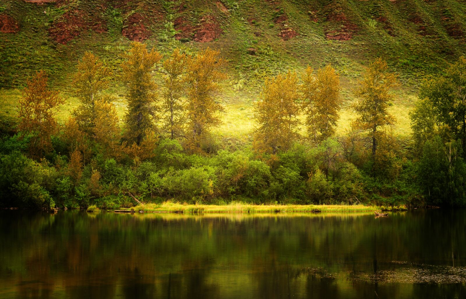 Nikon D5000 sample photo. Autumn, landscape, nature photography