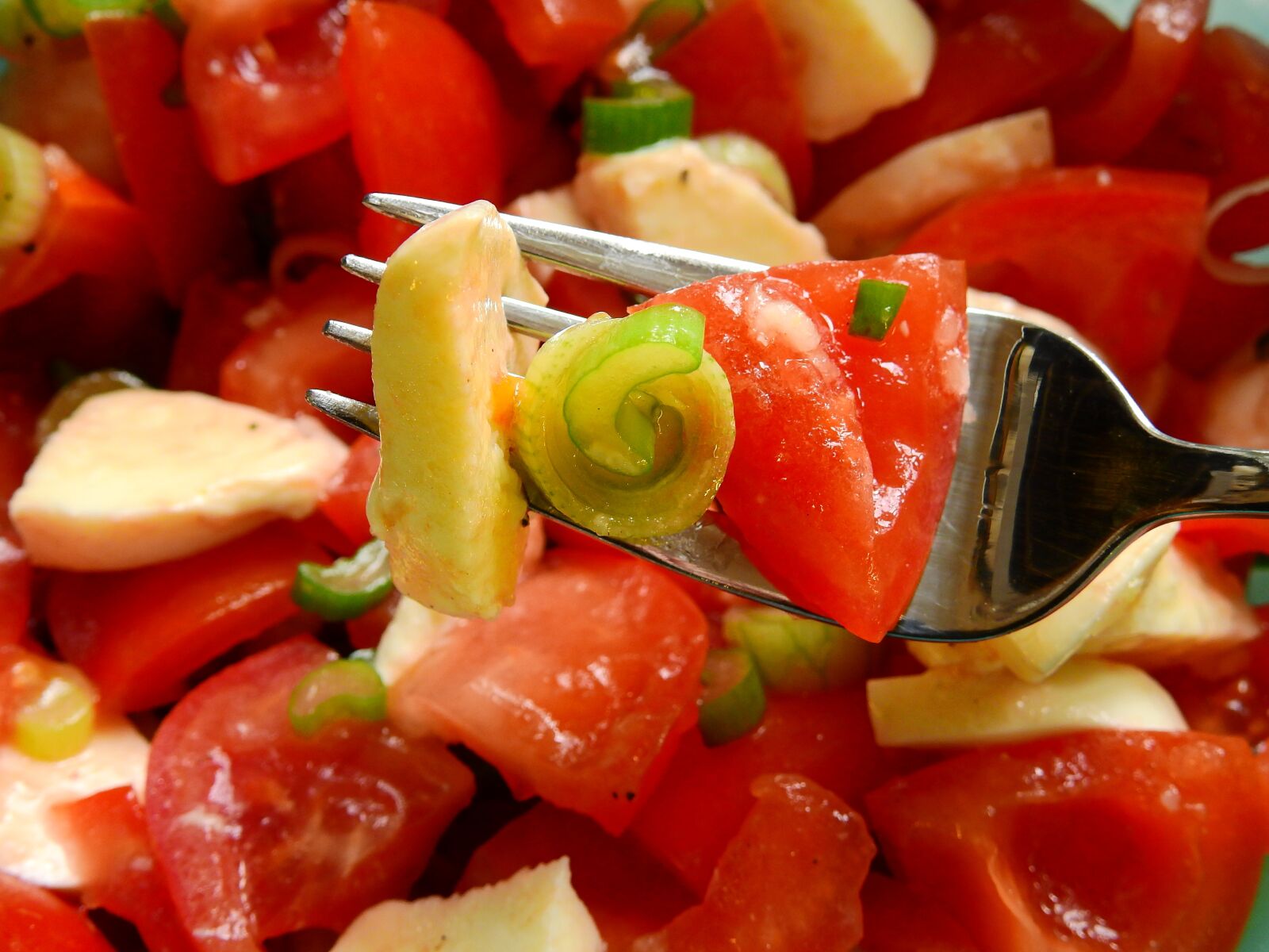 Nikon Coolpix P900 sample photo. Salad, tomatoes, onions photography