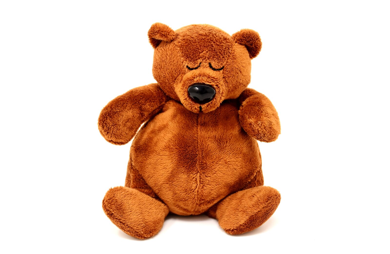 Nikon D7200 sample photo. Teddy, plush, sleeping photography