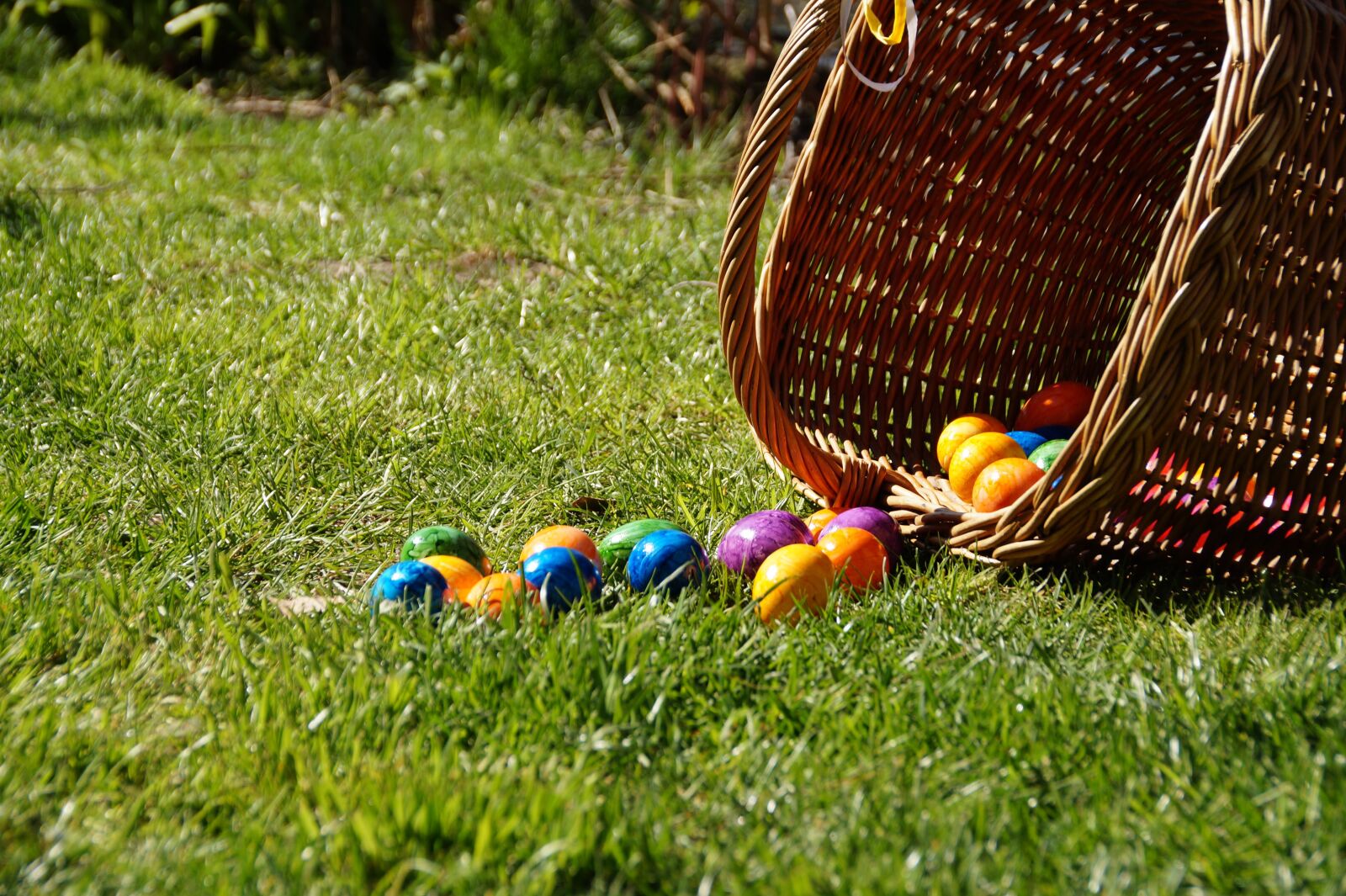 Sony SLT-A58 sample photo. Basket, easter, eggs photography