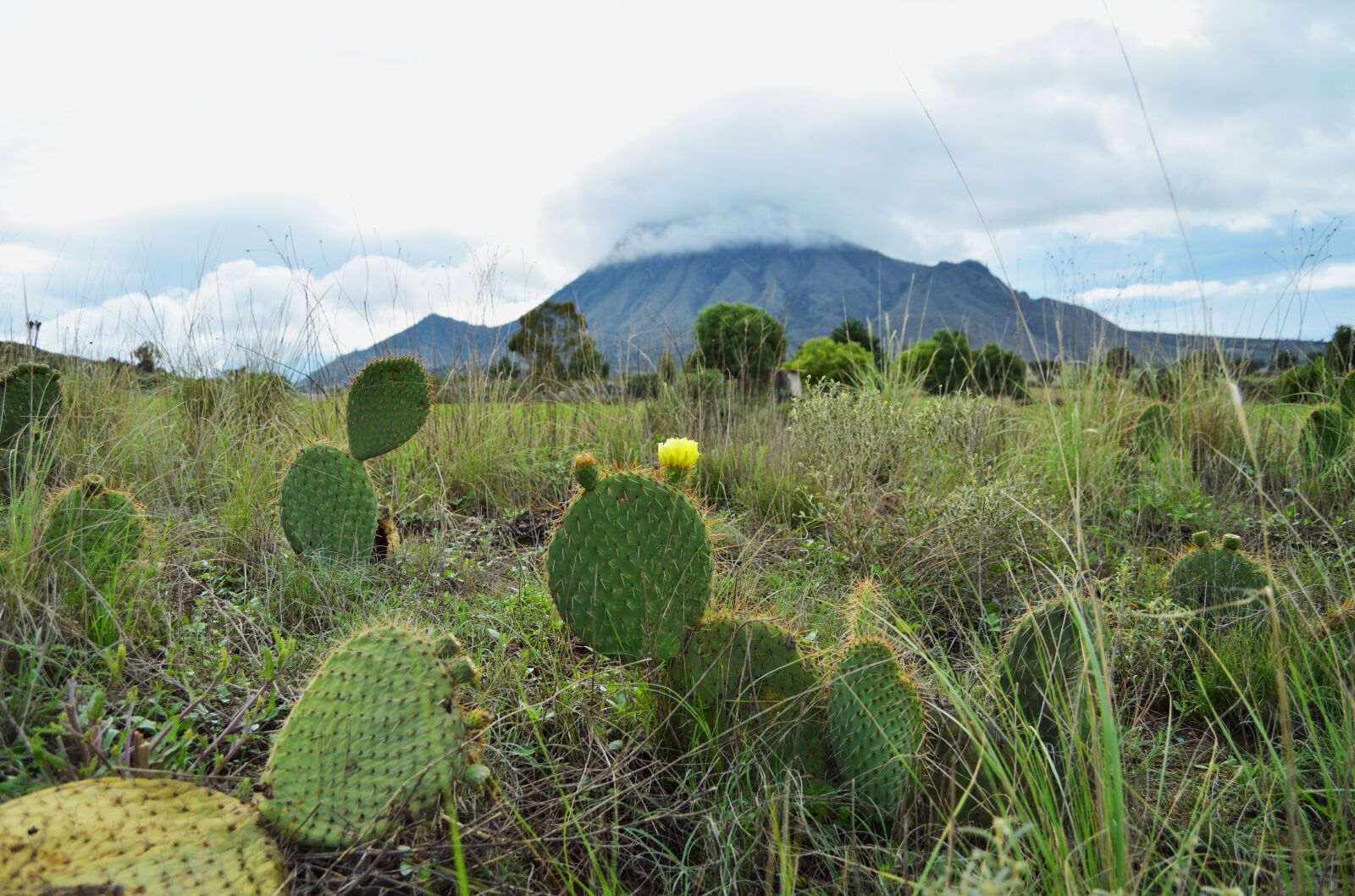 Nikon D3200 sample photo. Natural, nature, landscape photography