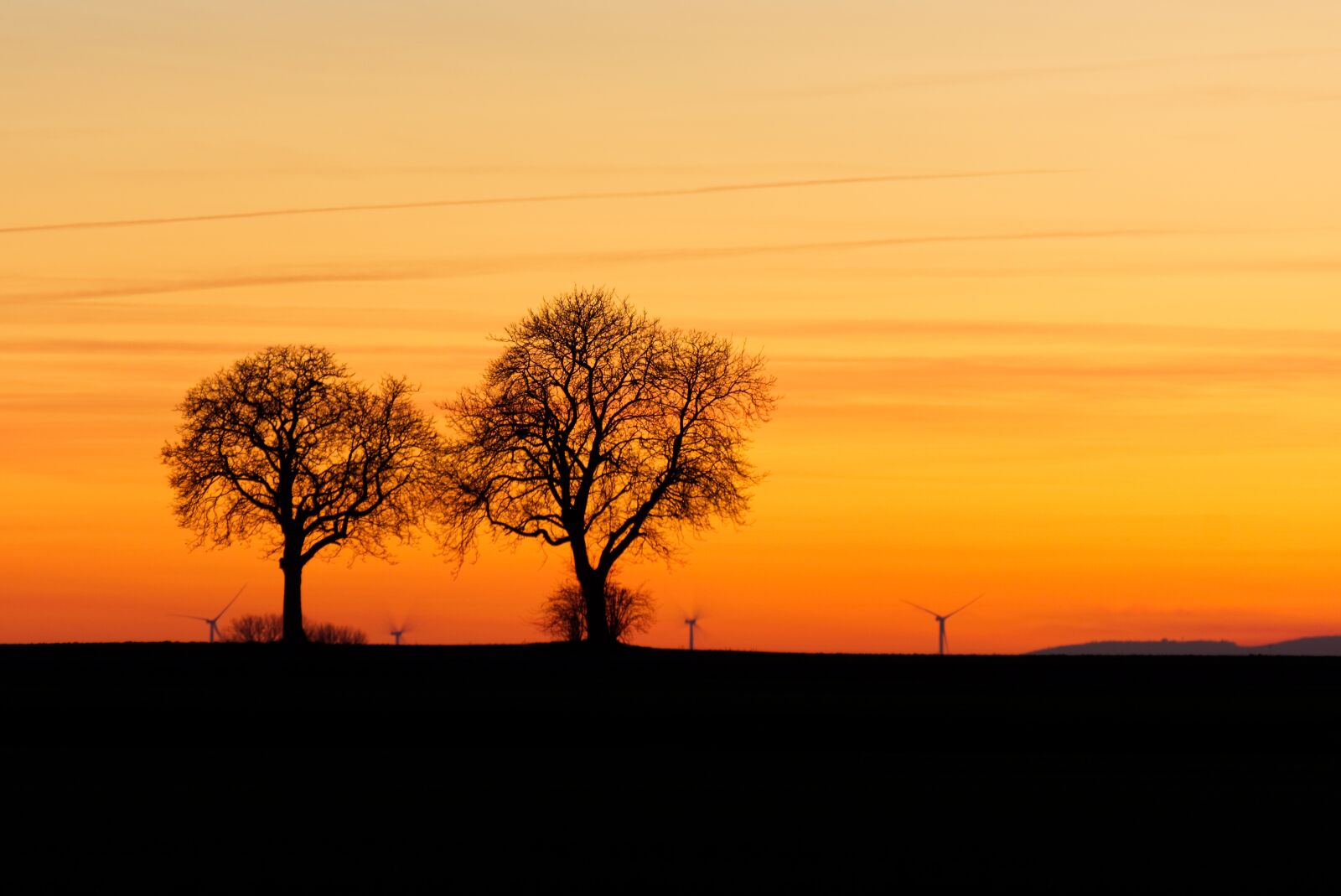 Sony a6000 sample photo. Tree, afterglow, twilight photography