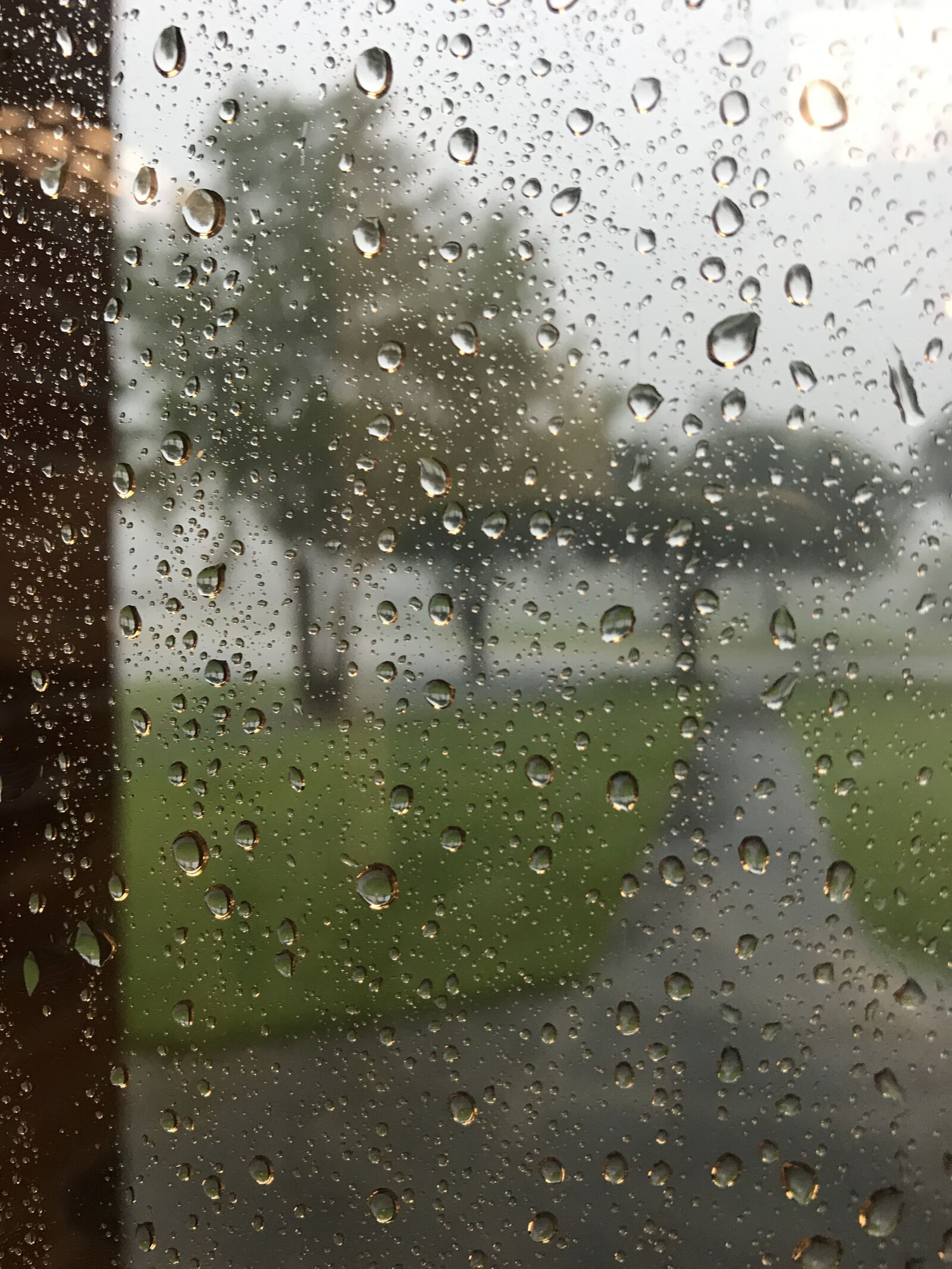 iPhone 7 back camera 3.99mm f/1.8 sample photo. Rainy, window, water photography