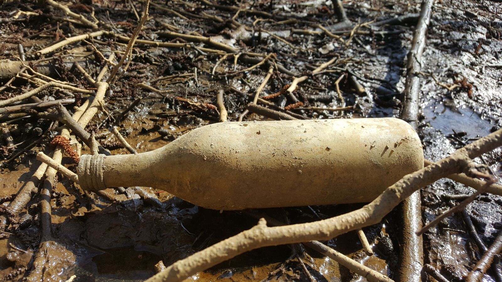Samsung Galaxy S6 sample photo. Nature, wood, environment photography